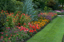 landscape.gif